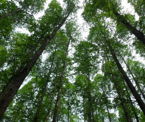 我的南京五日游5