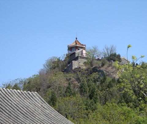 百望山森林公园归来8