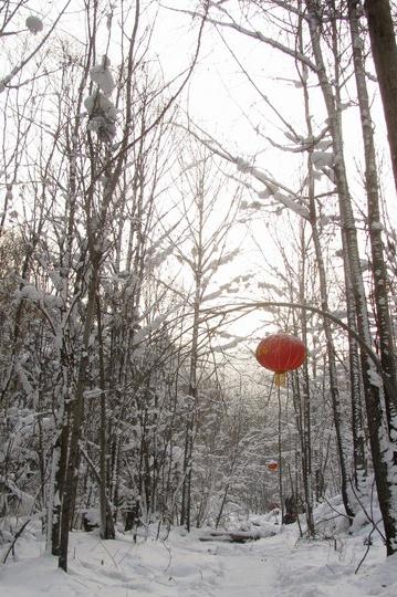 2011--2012东北跨年行【哈尔滨→东升→雪乡→雾凇岛】图片完毕，文字持续更新中…52
