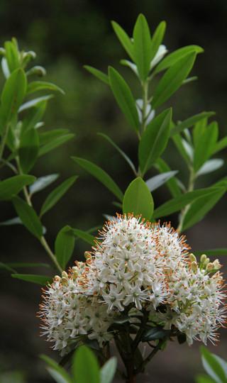 秦皇岛青龙的花果山水帘洞46