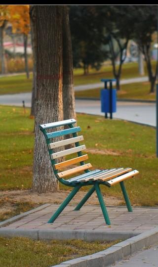 秋之色---世纪公园一游1