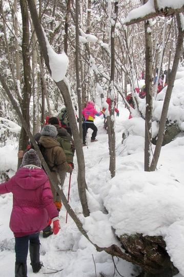 2011--2012东北跨年行【哈尔滨→东升→雪乡→雾凇岛】图片完毕，文字持续更新中…53