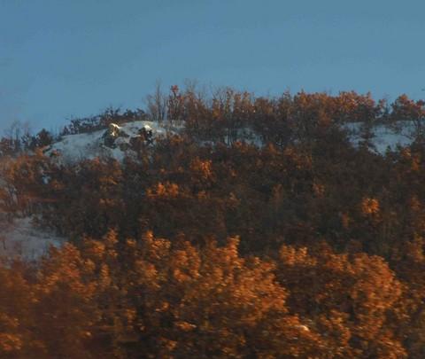 新年 去漠河溜达~~~1