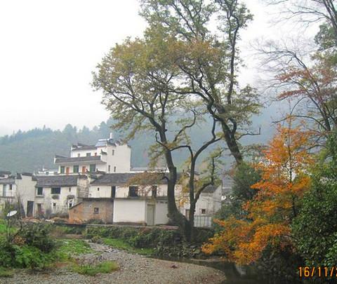 行走在婺源的秋天里7