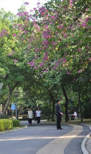 这个周末,这个光棍节,一个人漫步走在南宁4