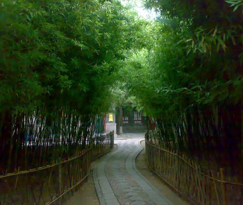 偶得济南半日休闲游（趵突泉公园，大明湖畔）18