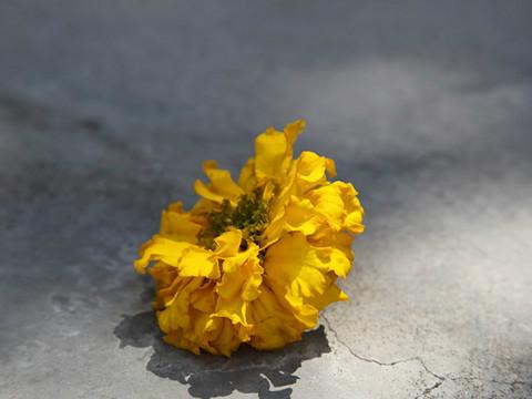 那年阳光很好，我们如此遇见，觉得你是另一个我。29