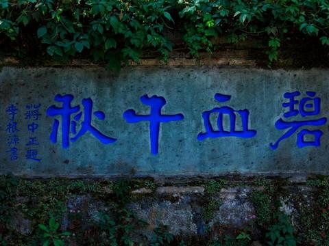 腾冲，腾冲，迟来的救一把！98