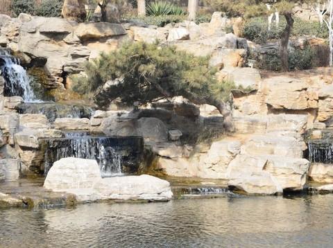 济南 泉水流到大明湖5