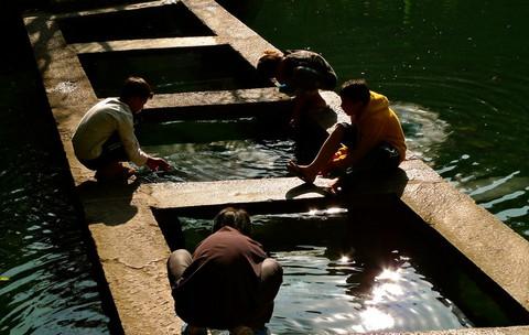 腾冲六日 图中漫步34