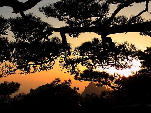 惊蛰了，去徽州看看吧23