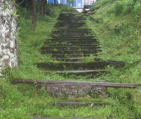 井冈山记忆9