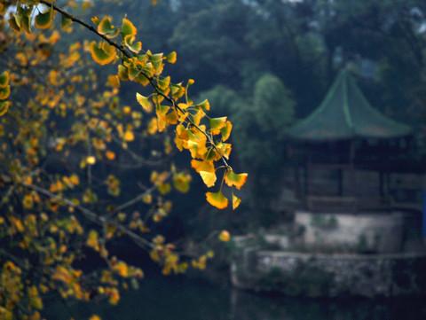 难忘重庆の东泉小镇6