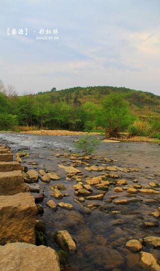 婺情源景——素素的我 素素的心16