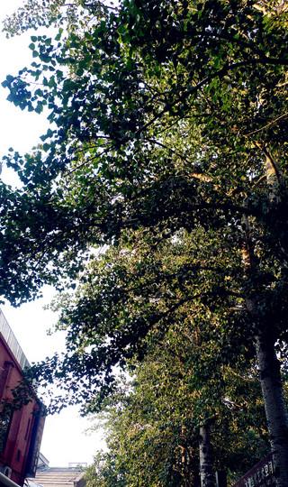 一个人属于北京城的8月【2011 北京】25