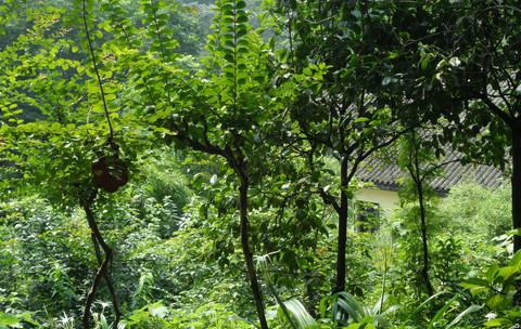 06-08/07/2012-山城小游（完结~感谢大家~）6