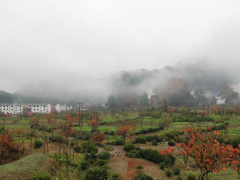 婺源秋忆，云雾三清，五天经济游15