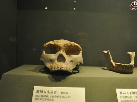 一路向西,给心灵放个假-D0D1D2D3西安、大唐西市、城墙、陕西博物馆、SUST---老婆篇29