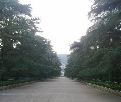 在南京所拍的几张照片3