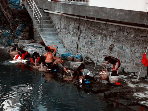 且行且珍惜_@江西婺源 晓起 美如其名的村落14