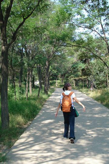 老龙头200724