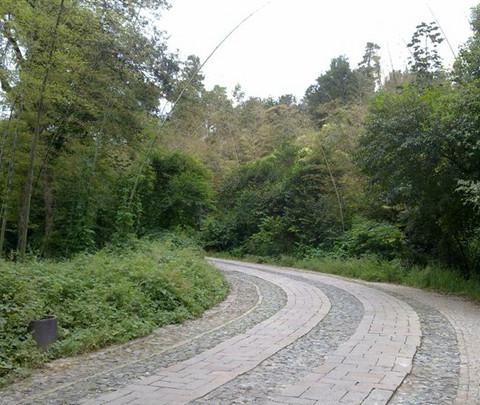 在南京所拍的几张照片4