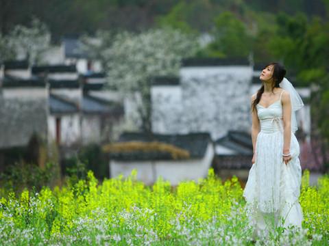 油菜花盛开的地方19