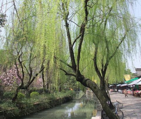 古韵今姿----南浔篇6