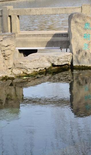 济南 泉水流到大明湖7