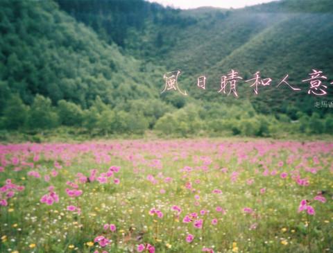 echo's【彩云之南】上集 @ 昆明 香格里拉 大理 腾冲12