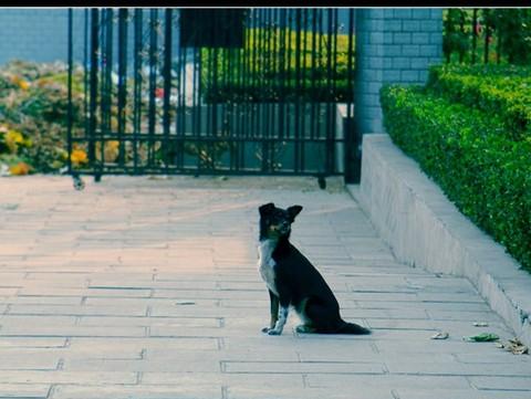 秋之色---世纪公园一游5