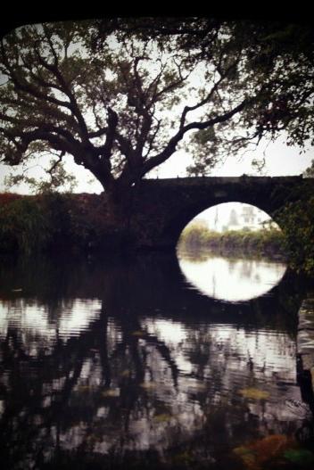 婺源秋忆，云雾三清，五天经济游4