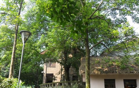 06-08/07/2012-山城小游（完结~感谢大家~）5