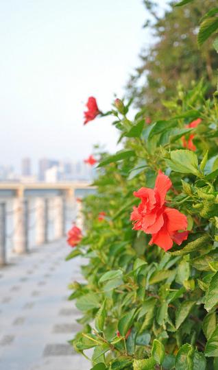 这个周末,这个光棍节,一个人漫步走在南宁13
