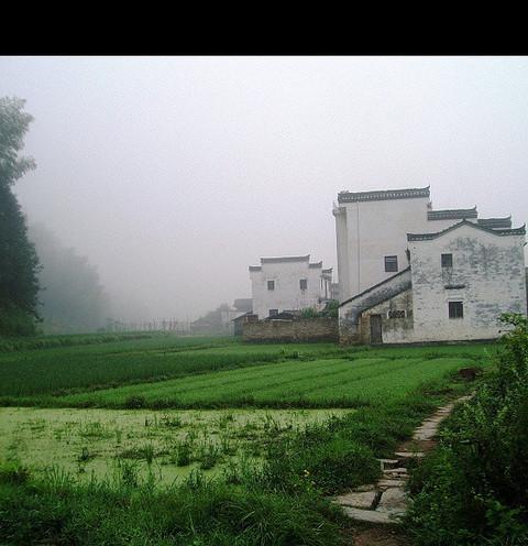 迟到七年的游记—烟雨婺源9