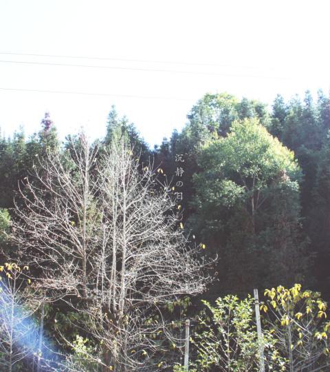 [腾冲组图]沉静の日:隐匿的美好6