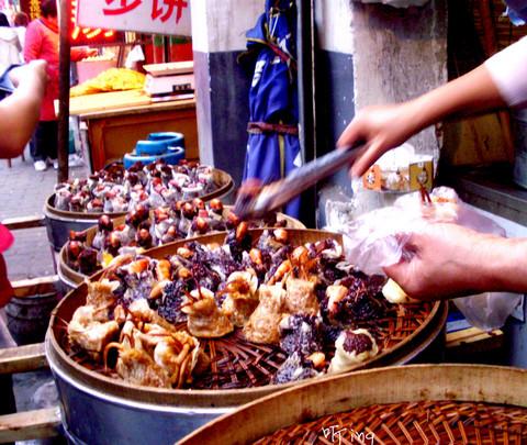 济南，夏河河如此多娇15