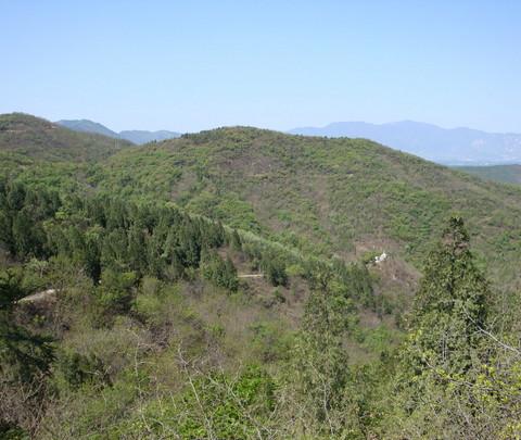 百望山森林公园归来9