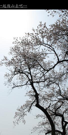 一起爬山去10