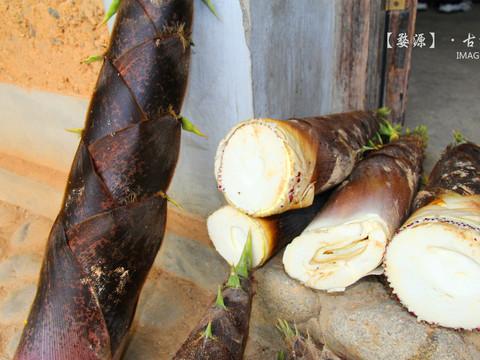 婺情源景——素素的我 素素的心35