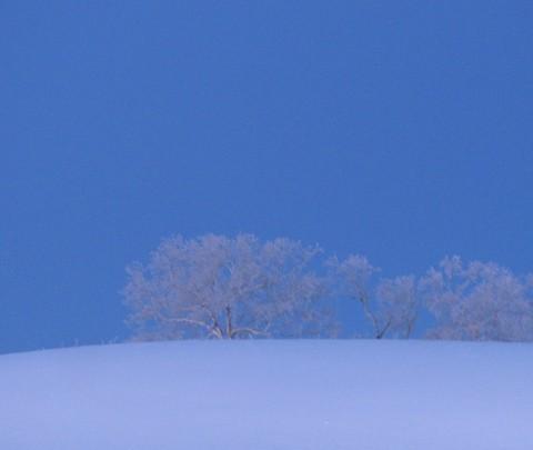 2011--2012东北跨年行【哈尔滨→东升→雪乡→雾凇岛】图片完毕，文字持续更新中…72