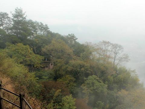 我是行者，不是过客~~~丹山碧水武夷山75