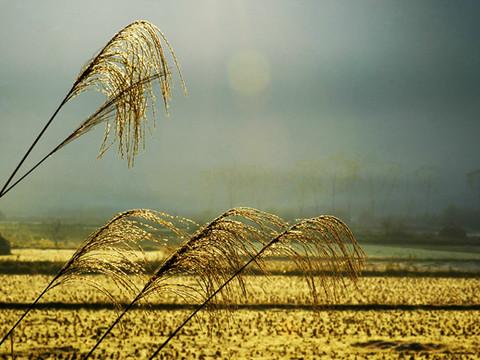 我所知道的桂林的美丽地方。（持续更新）20