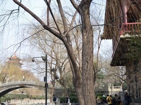 济南 泉水流到大明湖16