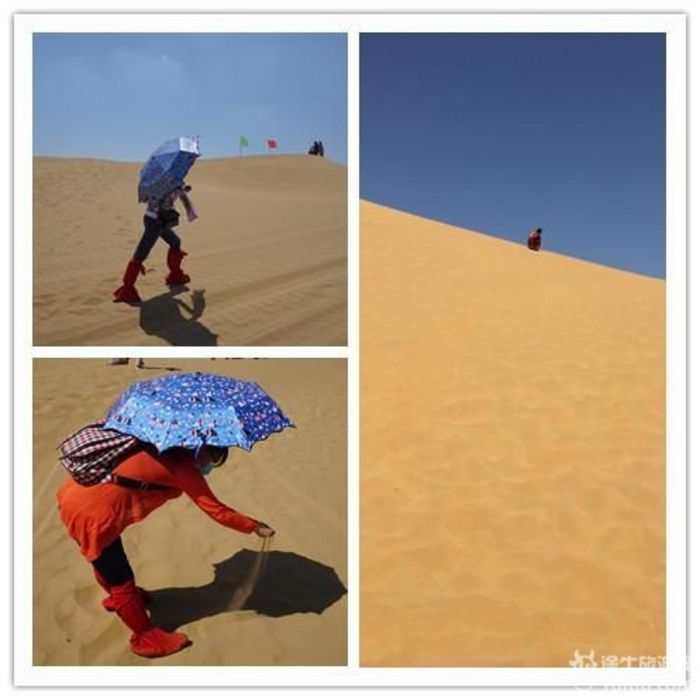 清爽之旅·鄂尔多斯ORDOS  #订单8003504917