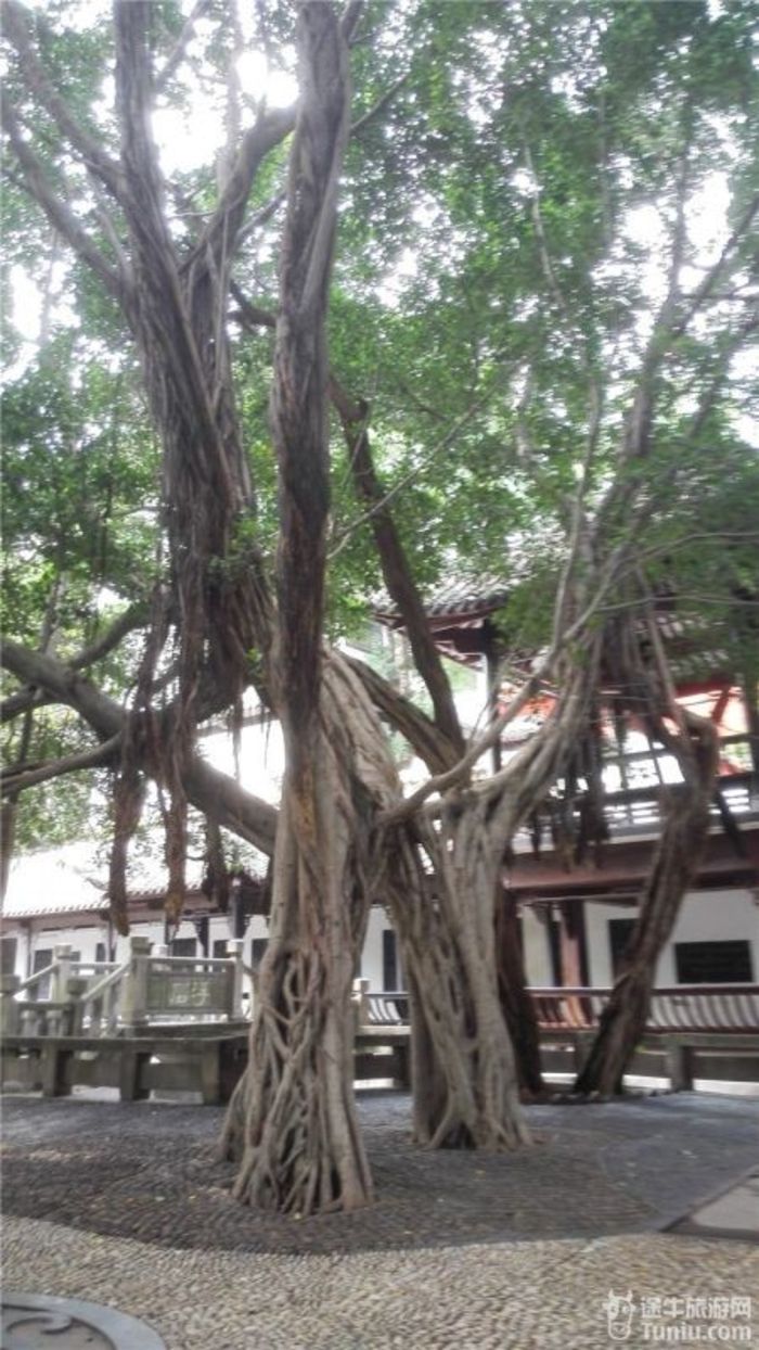 无限风光在三峡5