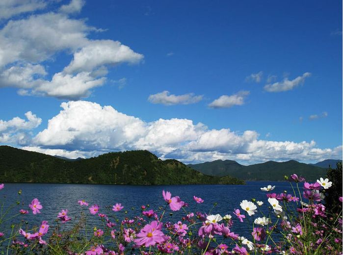 云南，一个来了就不想走的地方7