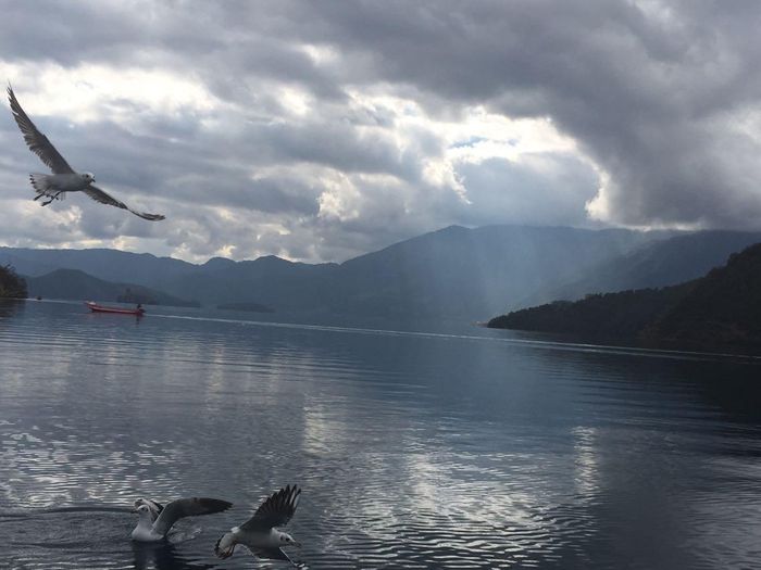 云南，一个来了就不想走的地方6