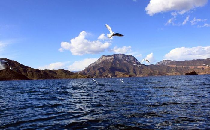 云南，一个来了就不想走的地方8