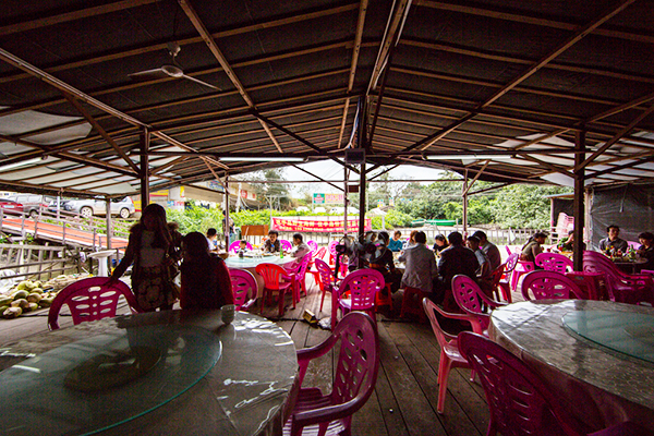 新年爱情期待 神州半岛的婚礼幻想10